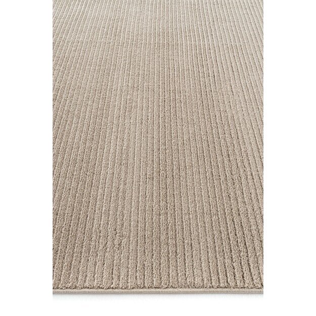 Vetrina 3602 - Mink 5