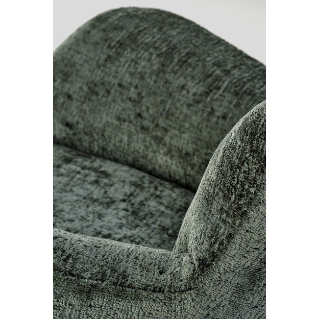 CASTRO leisure chair color: green 17