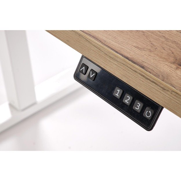 B/54 desk with adjustable height, top - artisan oak, frame - white  4