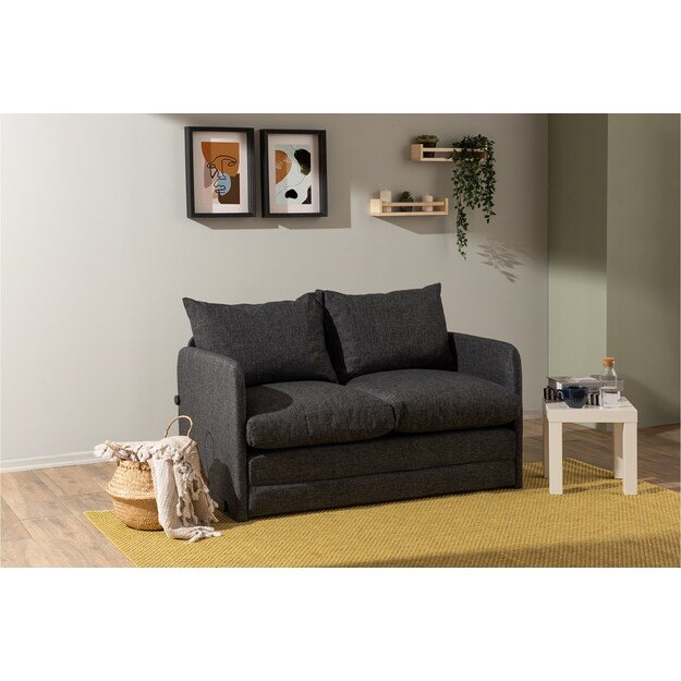 Saga 2-Seater - Dark Grey 1