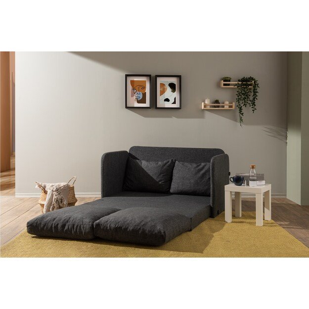 Saga 2-Seater - Dark Grey 2