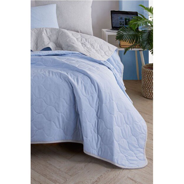 Solid - Light Blue, Grey 1