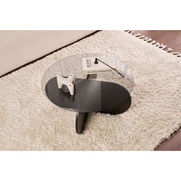 Aeris - Wood Black, Transparent 2