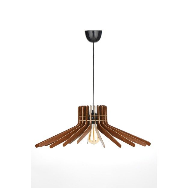 Boomerang - Walnut 1