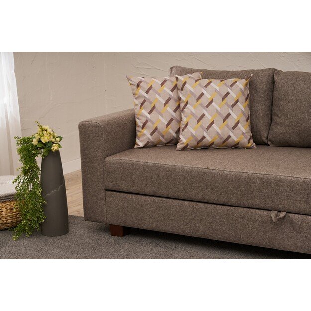 Aly Arzilla - Brown 2