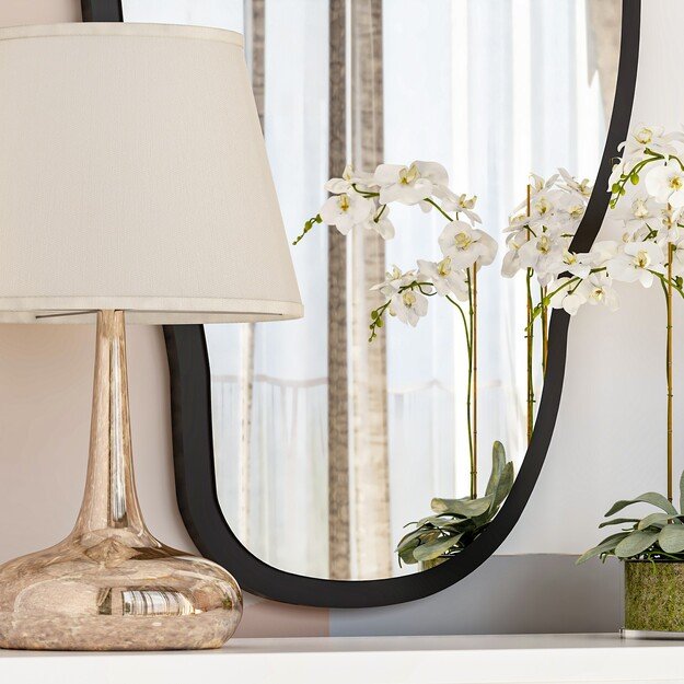 Couldy - Transparent 4