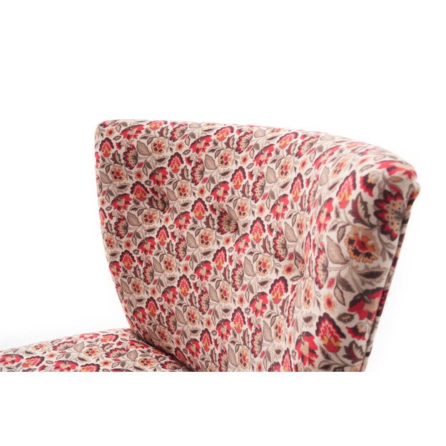 Viola Berjer Sardunya 5