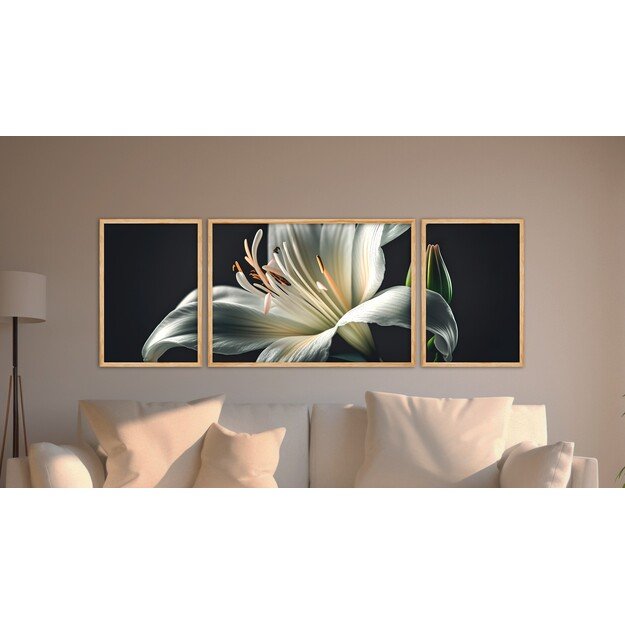 Huhu309 - 50 x 140 1