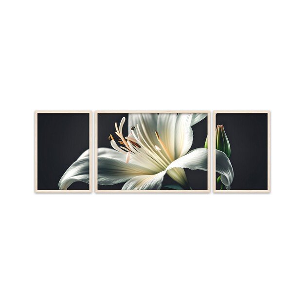 Huhu309 - 50 x 140 2