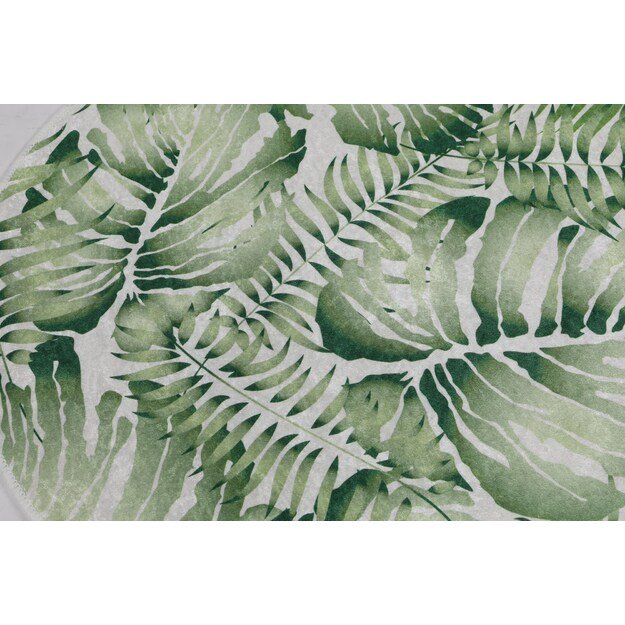 Pied Circle Djt 80 2