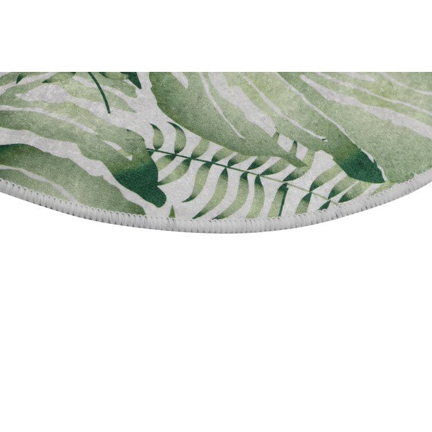 Pied Circle Djt 80 3