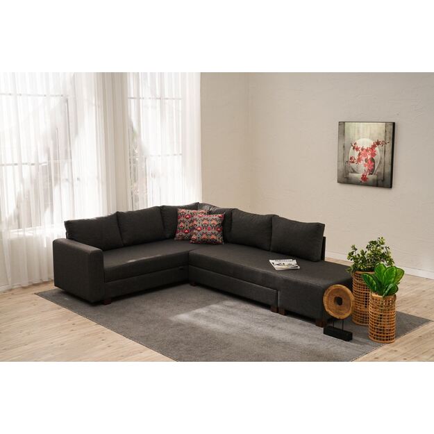 Aly Right - Anthracite