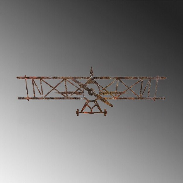 Rusty Airplane 6
