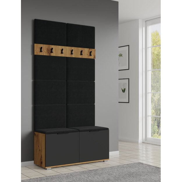CLIF P-50 panel black BLUVEL #19 2