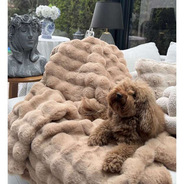 Bubble 150x100 - Brown 1