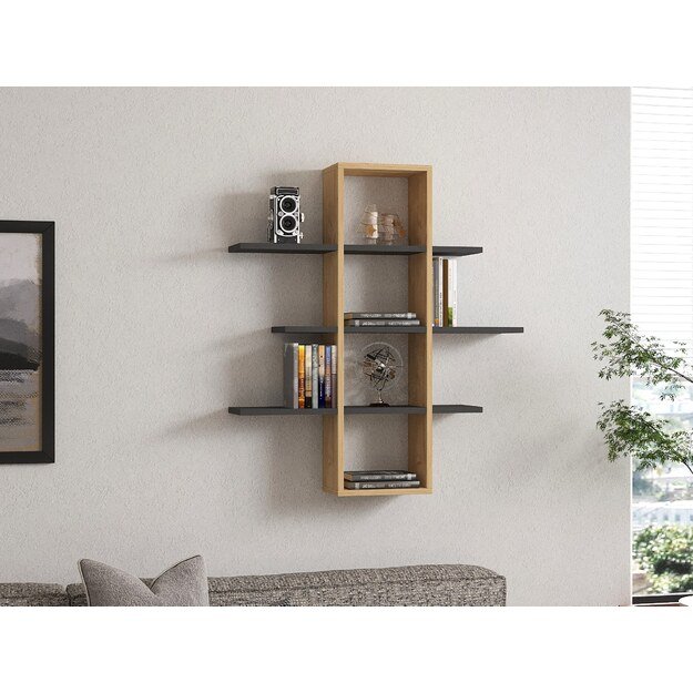 Ardo - Sapphire, Anthracite