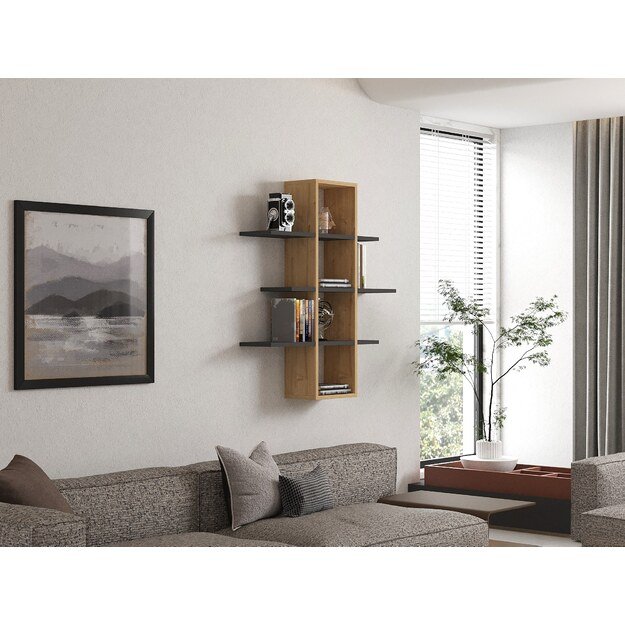 Ardo - Sapphire, Anthracite 2