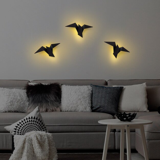 Pacalı - 13500 - M 2